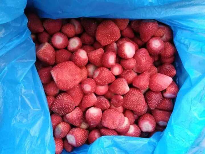 Frozen Strawberry Chunks IQF